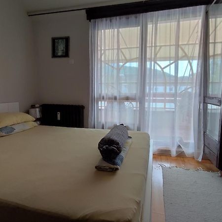 Vila Zora Apartman Banja Koviljača Exterior foto
